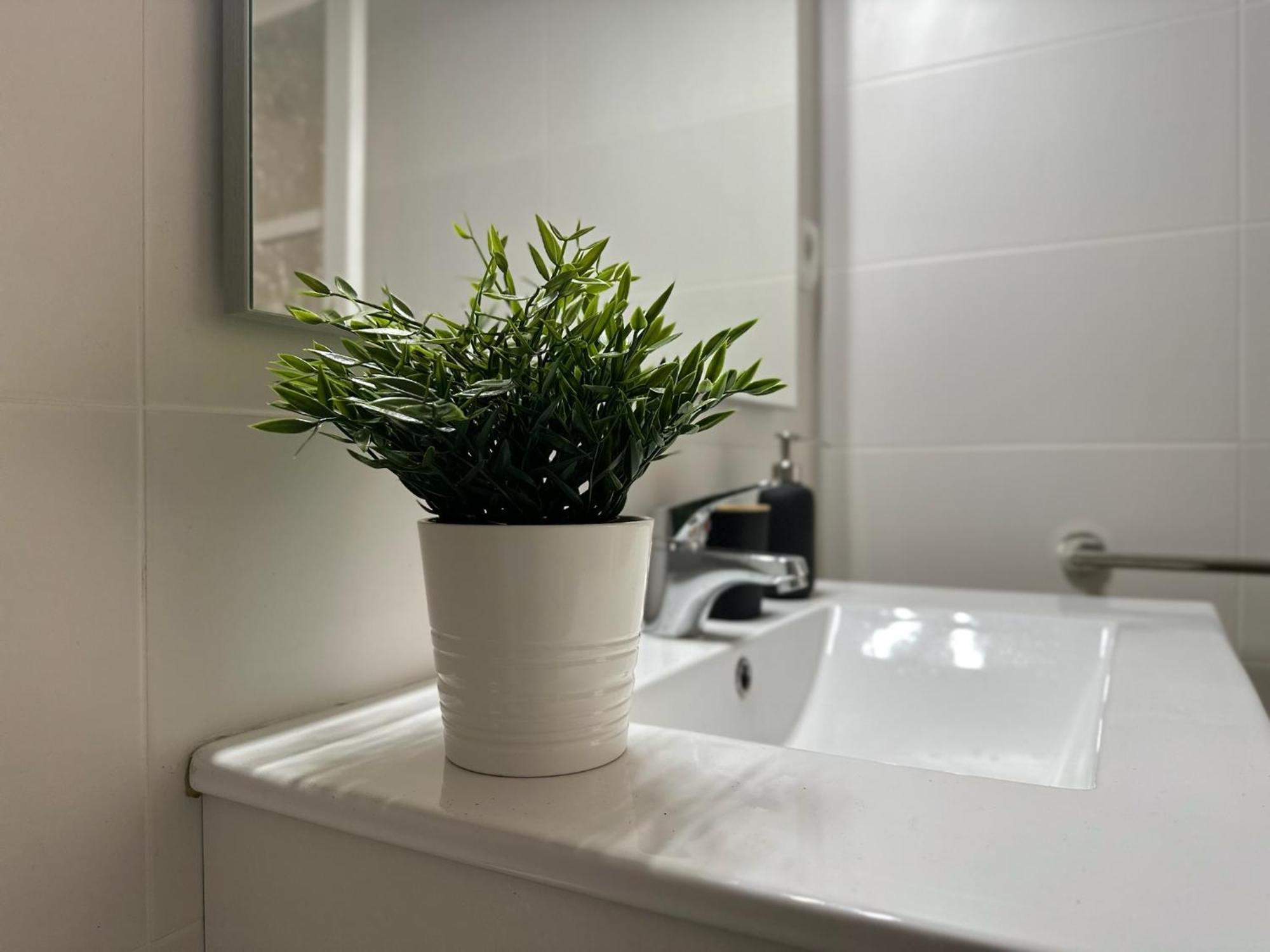Apartamentos Vernia Ontinyent Bagian luar foto